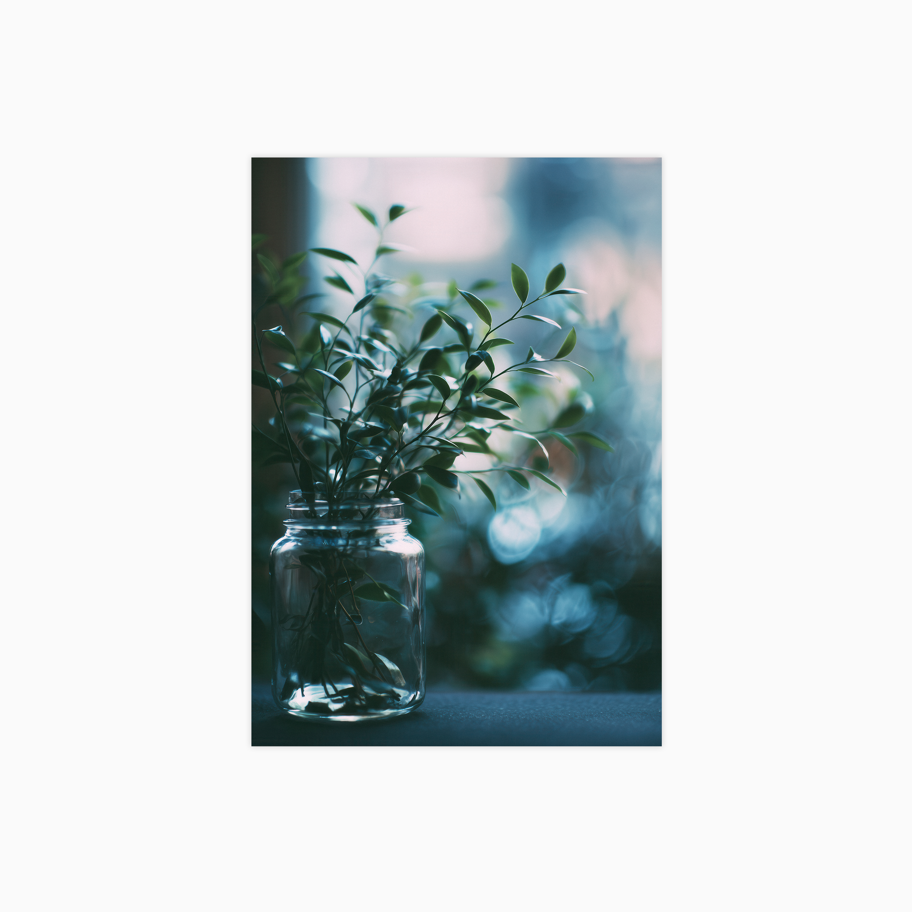 Bokeh Botanics No 05 Poster