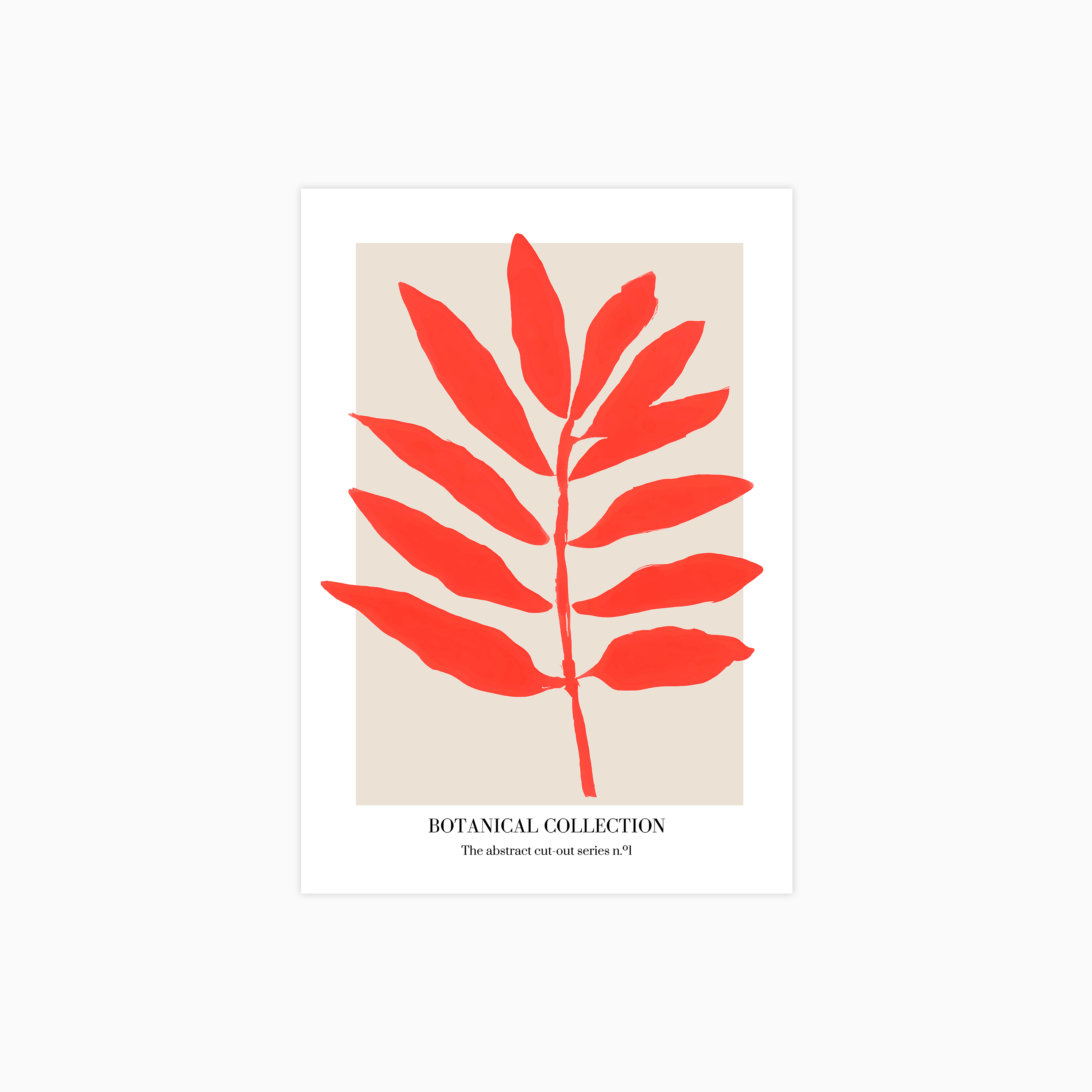 Botanical Collection 1 Poster